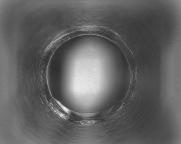 X0000086101304200703231424