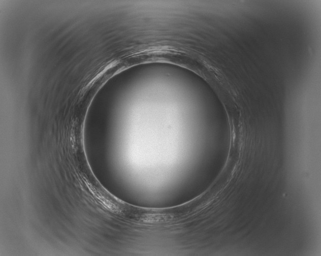 X0000086101305200703231424
