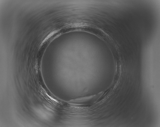 X0000086101306200703231424