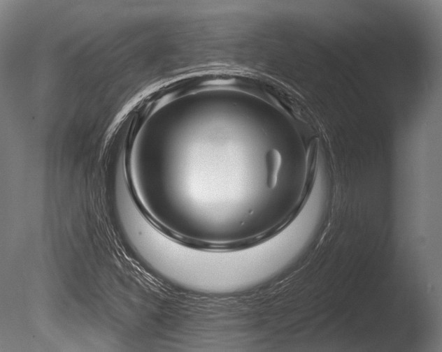 X0000086101310200703231424