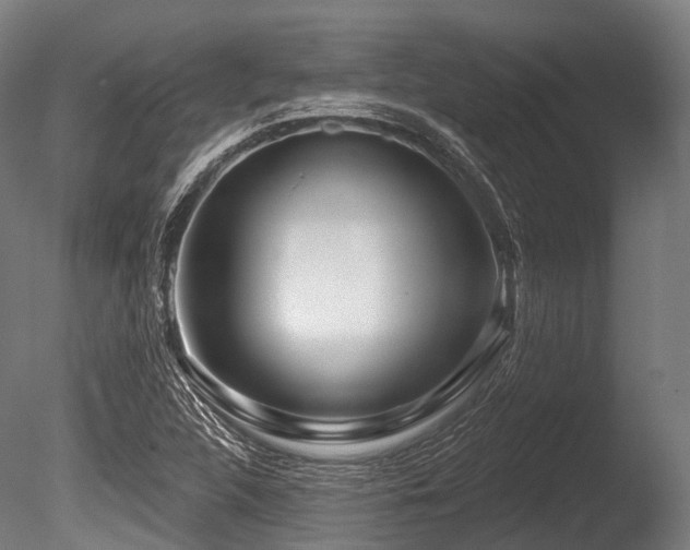 X0000086101312200703231424