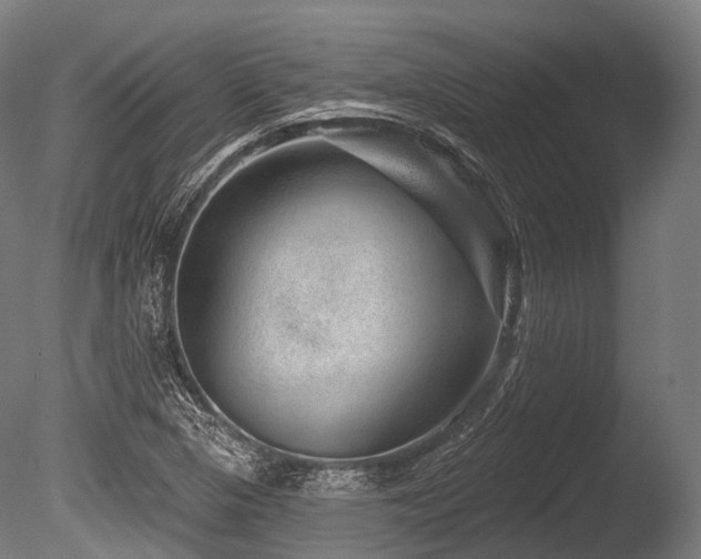 X0000086101313200703231424
