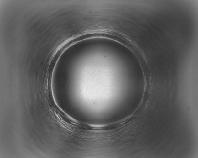 X0000086101316200703231424