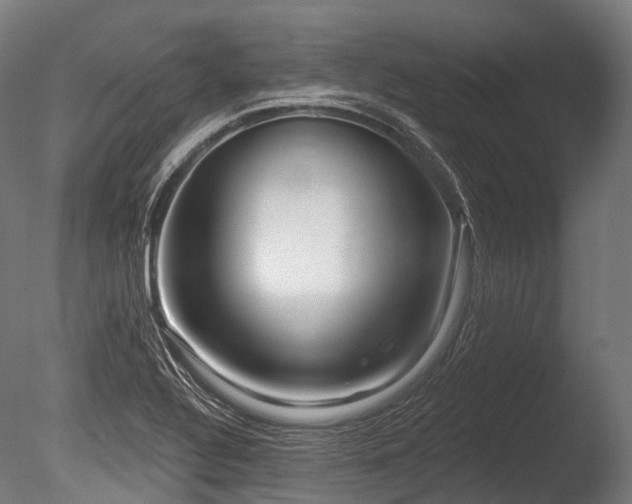 X0000086101320200703231424