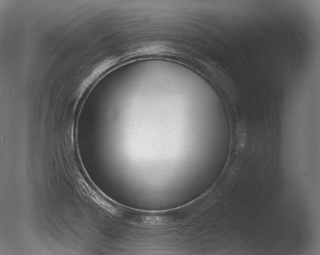 X0000086101322200703231424