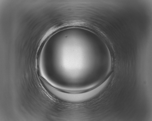 X0000086101324200703231424