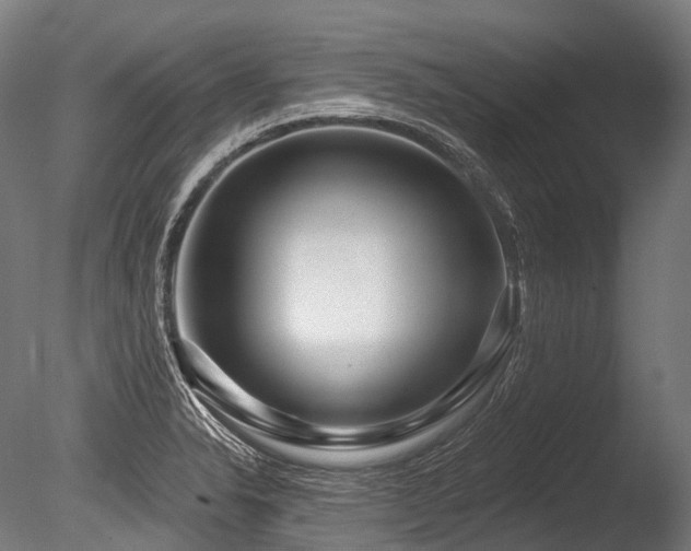 X0000086101326200703231424