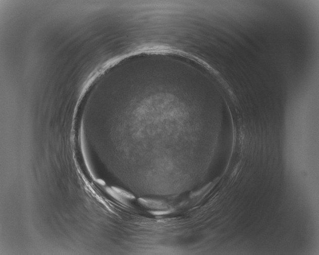 X0000086101327200703231424