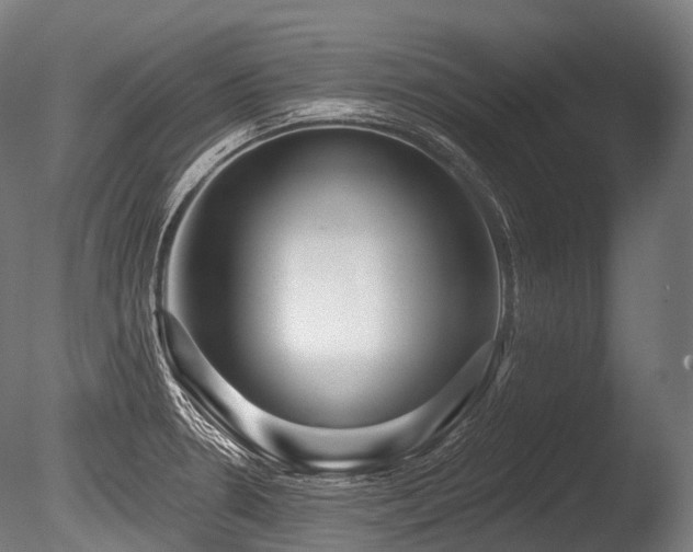 X0000086101330200703231424
