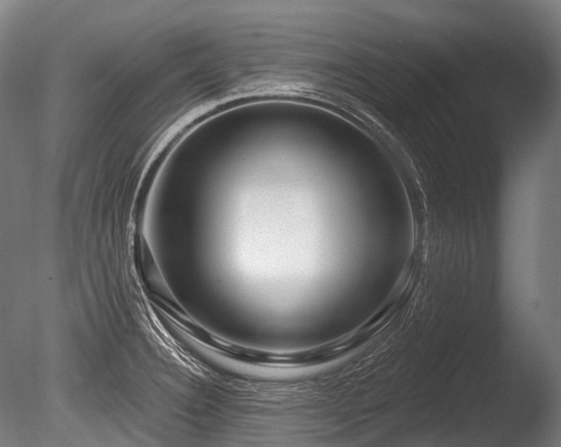 X0000086101332200703231424