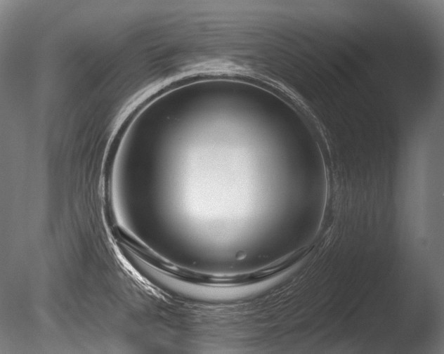 X0000086101335200703231424