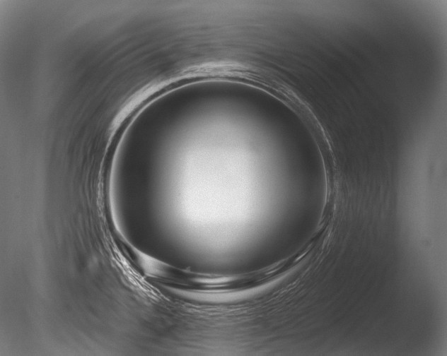 X0000086101336200703231424