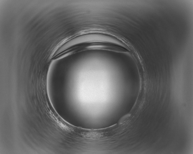 X0000086101337200703231424