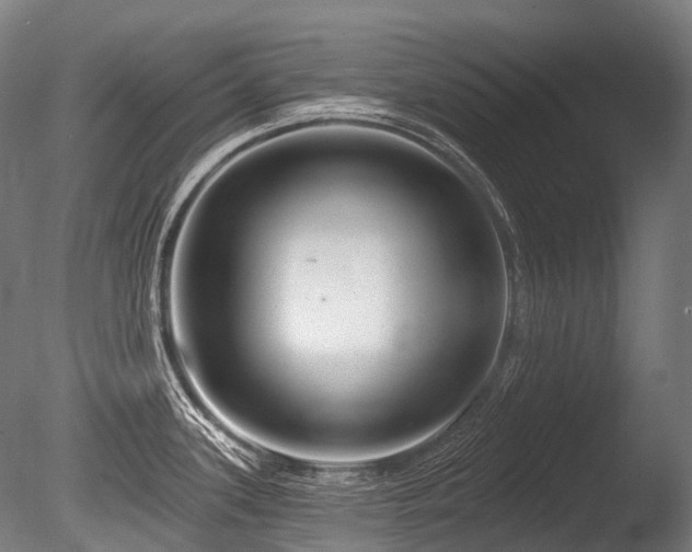 X0000086101339200703231425