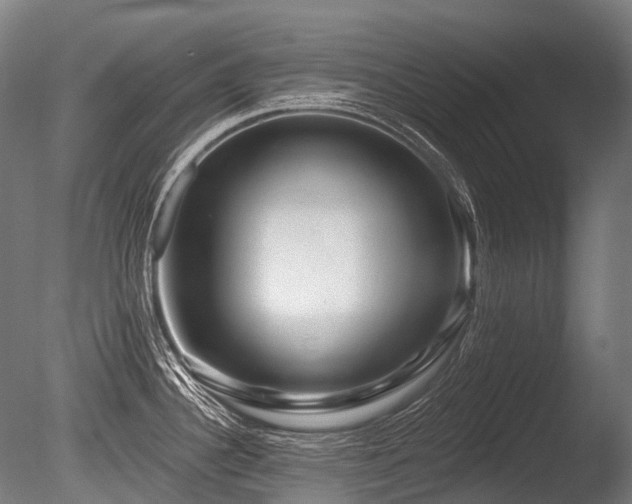 X0000086101340200703231425