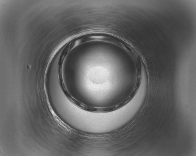 X0000086101342200703231425