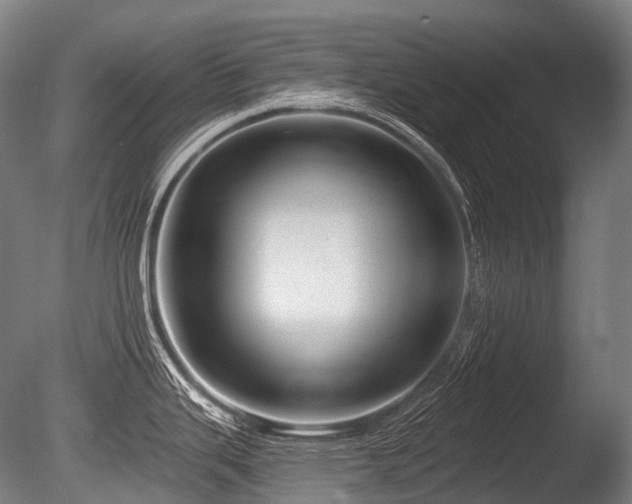 X0000086101343200703231425