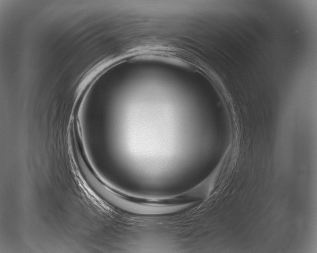 X0000086101344200703231425