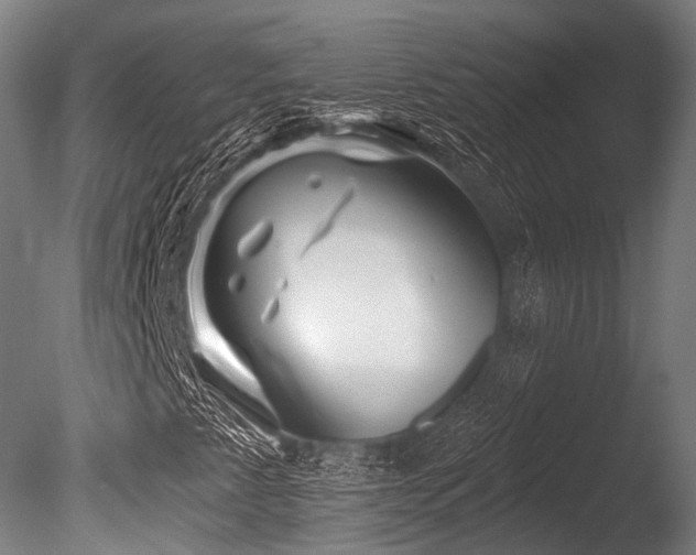X0000086101345200703231424