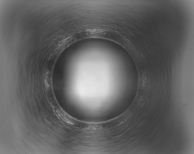 X0000086101346200703231424