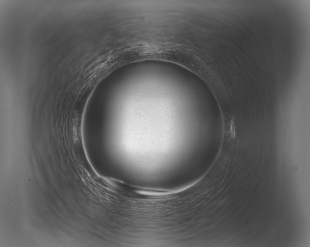 X0000086101348200703231424
