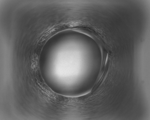 X0000086101349200703231424