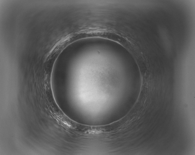X0000086101351200703231424