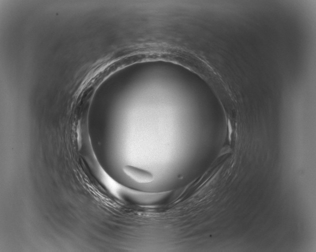 X0000086101352200703231424