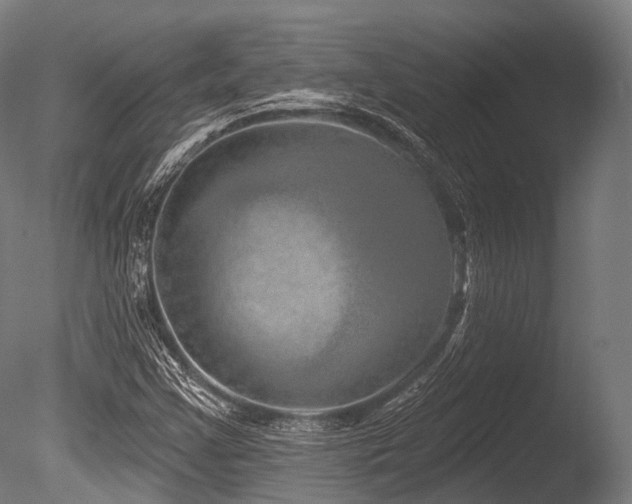 X0000086101355200703231424