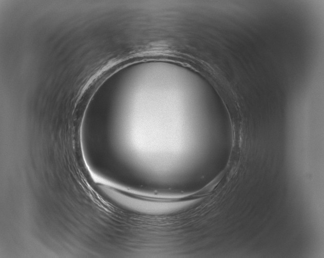 X0000086101356200703231424