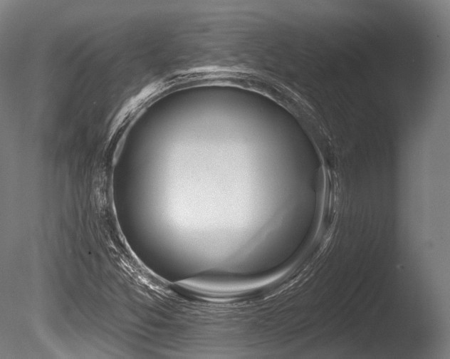 X0000086101357200703231424