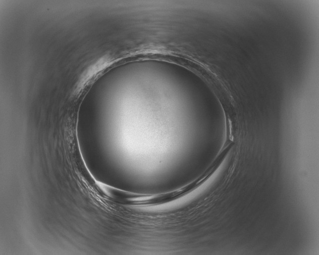 X0000086101359200703231424