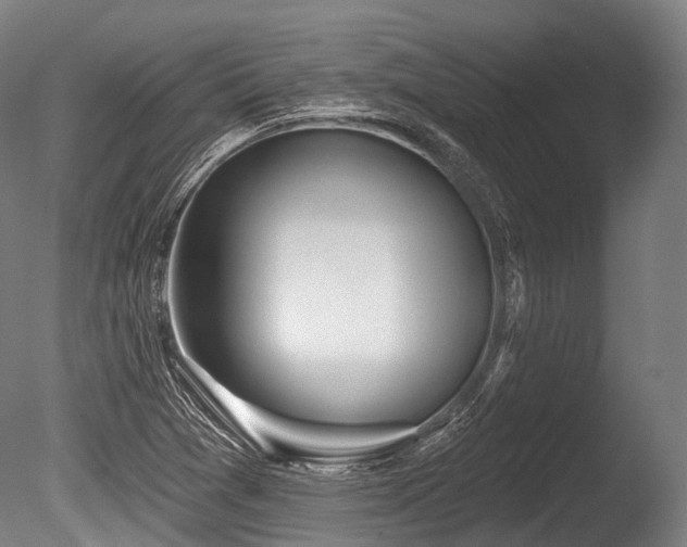 X0000086101361200703231423