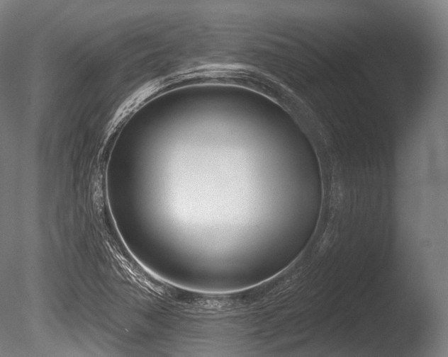 X0000086101362200703231423