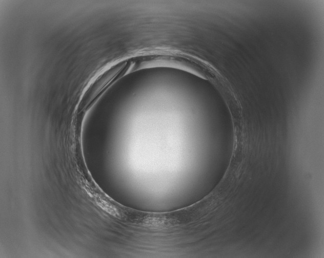 X0000086101364200703231423