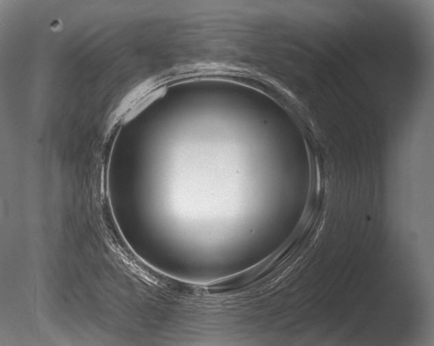 X0000086101365200703231423