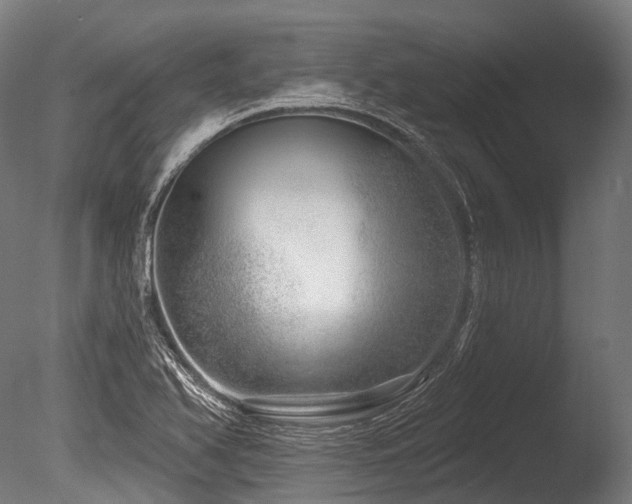 X0000086101366200703231423