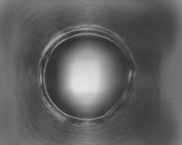 X0000086101368200703231423