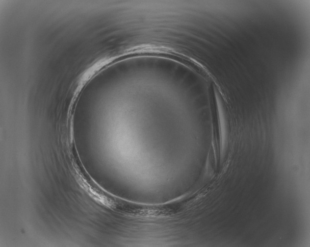 X0000086101371200703231423