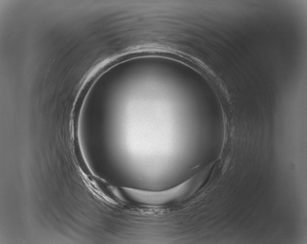 X0000086101372200703231423