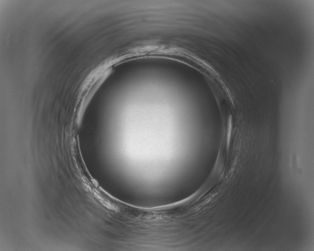 X0000086101373200703231423
