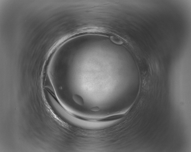 X0000086101375200703231423