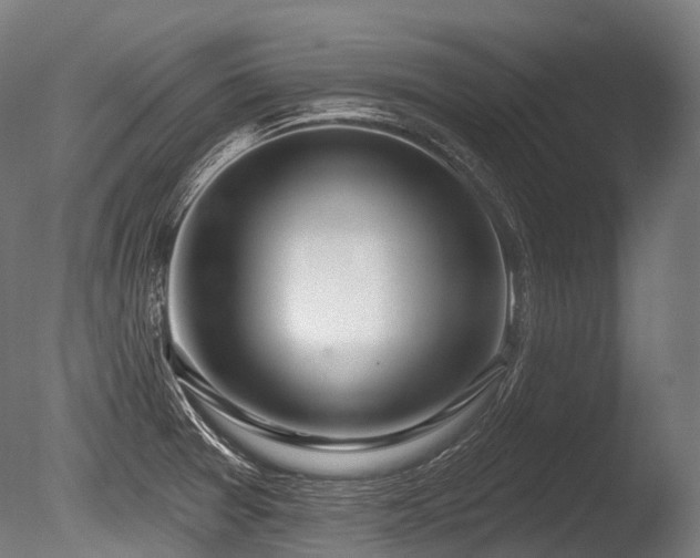 X0000086101377200703231423