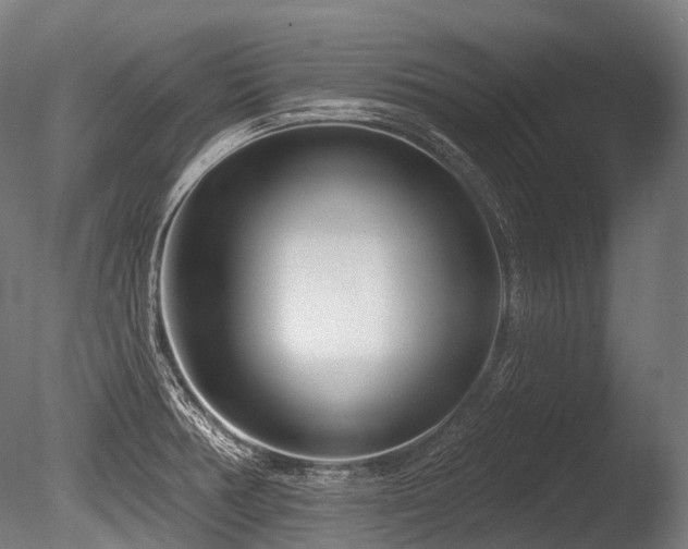 X0000086101378200703231423