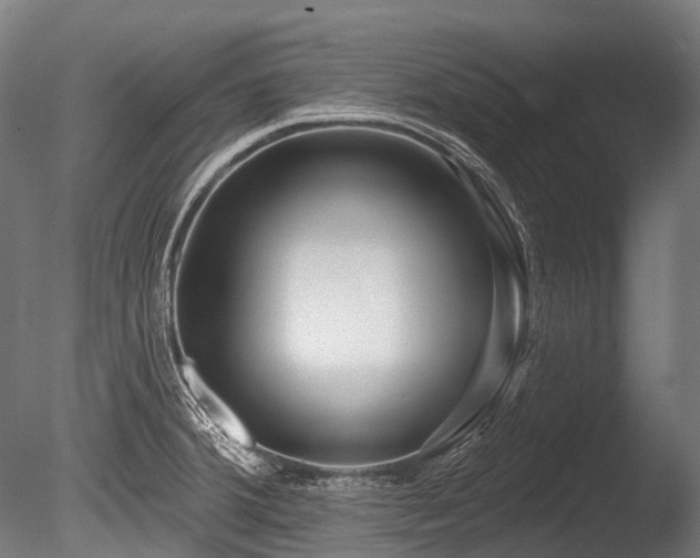 X0000086101380200703231423