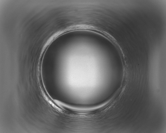 X0000086101381200703231423