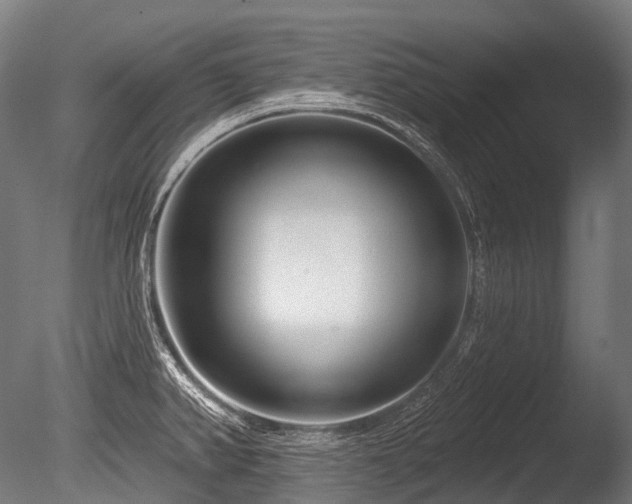 X0000086101382200703231423