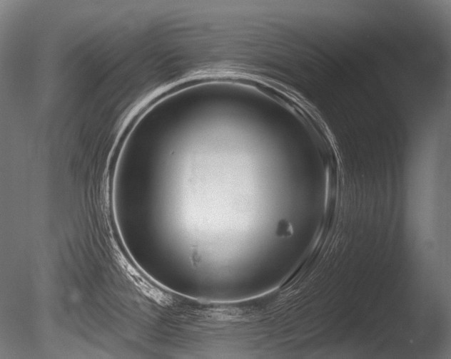 X0000086101388200703231423