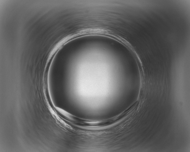 X0000086101389200703231423