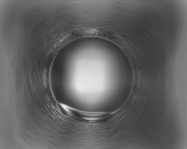 X0000086101394200703231422